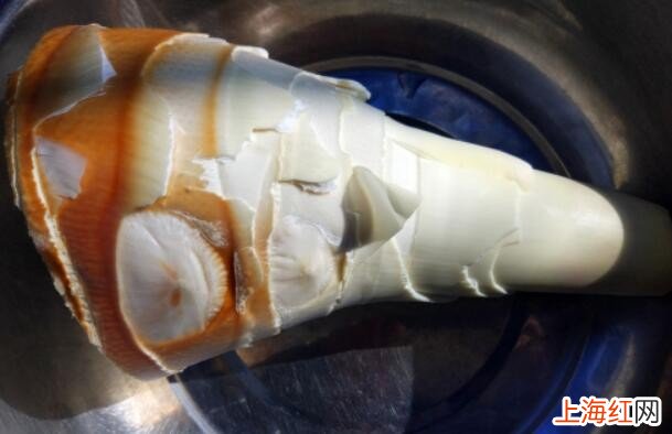 用楠竹笋怎样炖排骨才好吃