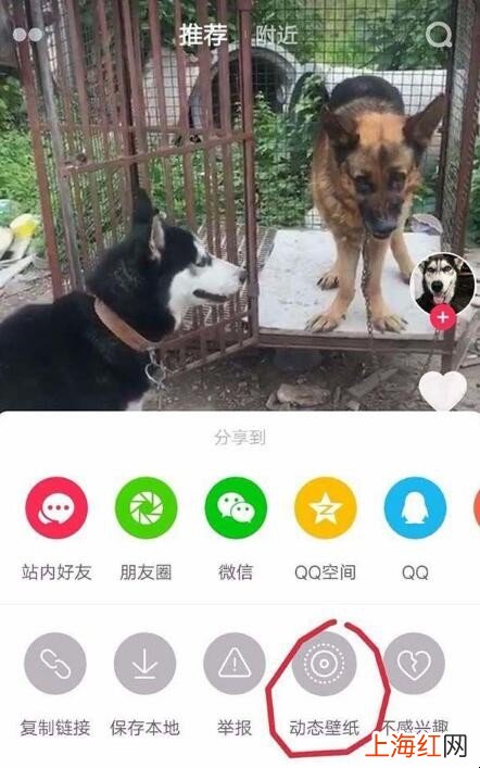 怎么设置自己的小视频做动态壁纸
