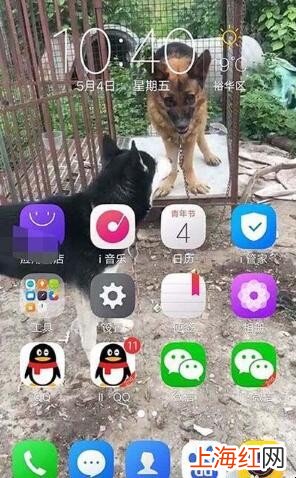 怎么设置自己的小视频做动态壁纸