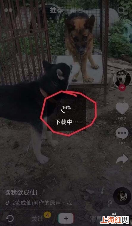 怎么设置自己的小视频做动态壁纸