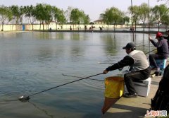 水浅钓鱼用什么漂