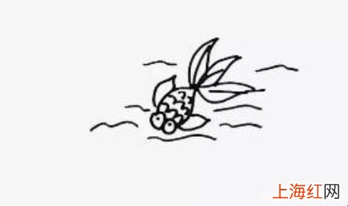 小金鱼简笔画怎么画