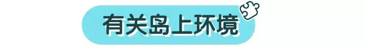 这么美的地方去一次肯定是不够的 去一趟马尔代夫值得吗