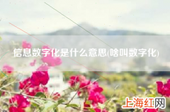 啥叫数字化 信息数字化是什么意思