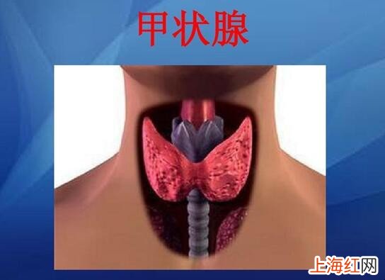 甲状腺穿刺结果怎么分辨