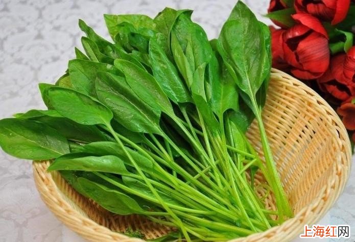 菠菜种植方法是什么