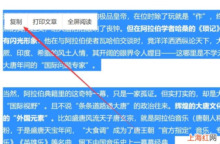 网页的内容复制不了怎么办