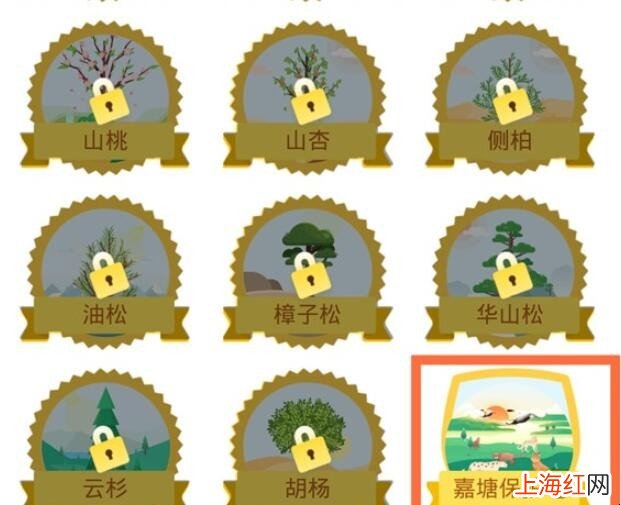支付宝环保证书在哪里领取