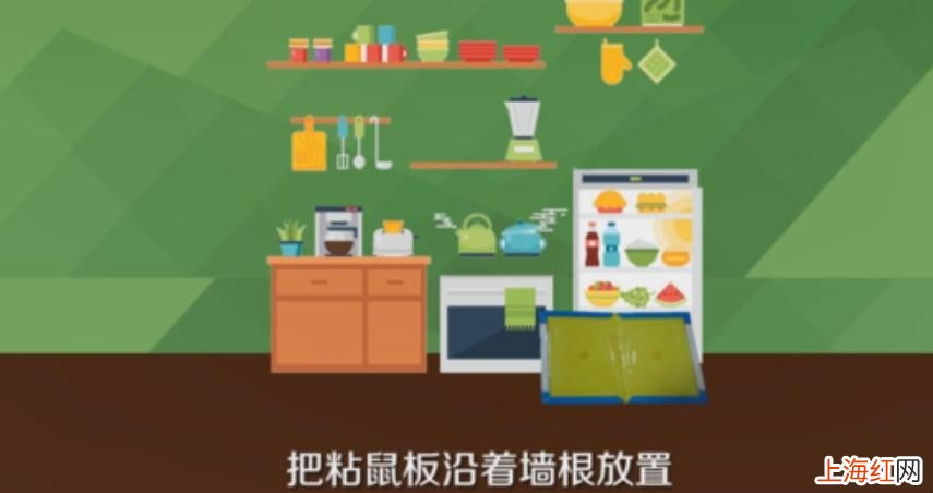 粘鼠板的正确使用方法是什么
