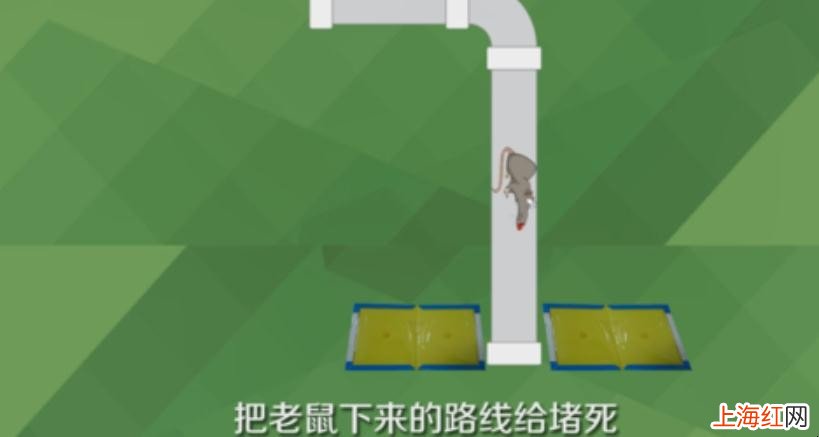 粘鼠板的正确使用方法是什么