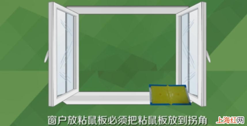 粘鼠板的正确使用方法是什么