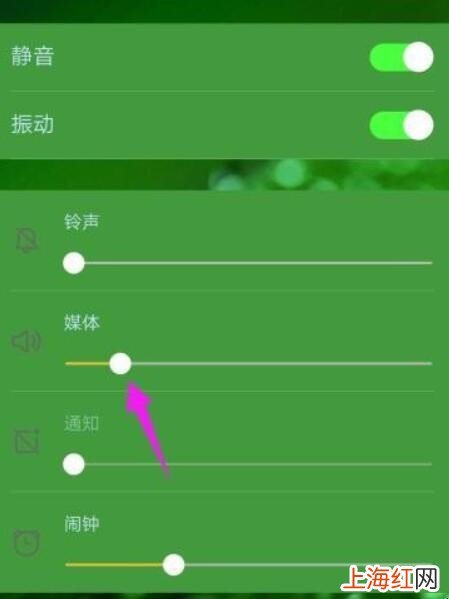 抖音没有声音怎么办