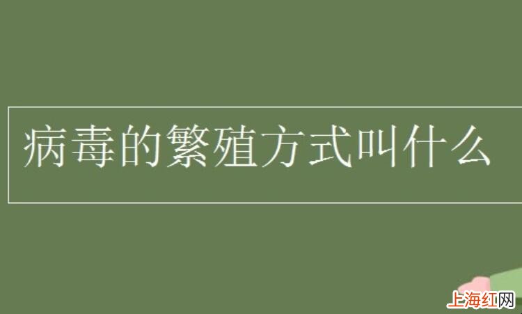 病毒繁殖的方式是什么