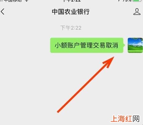 小额账管交易怎么取消