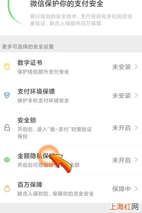 如何让零钱通不显示金额