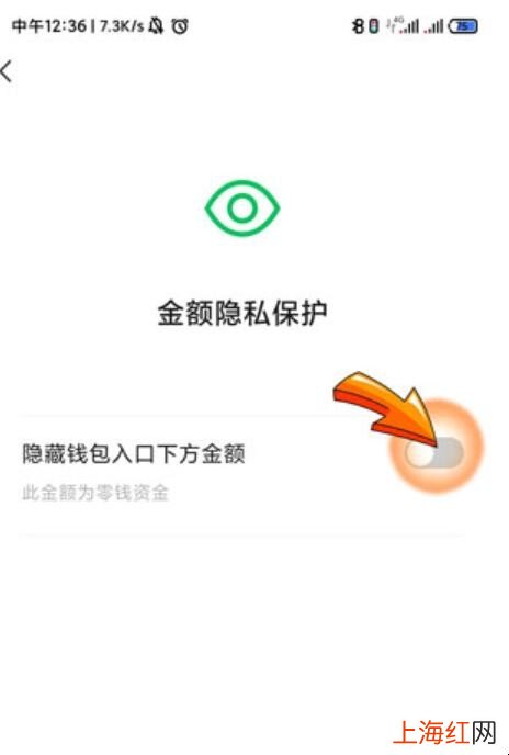 如何让零钱通不显示金额
