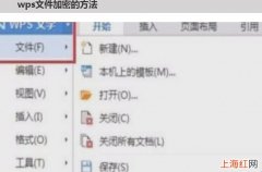 wps文件怎么加密