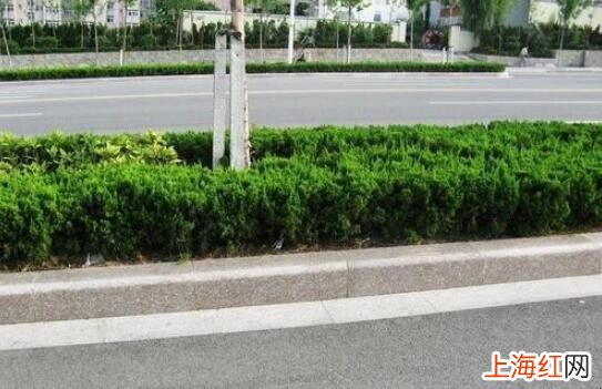 侧方位停车怎么看距离边30厘米