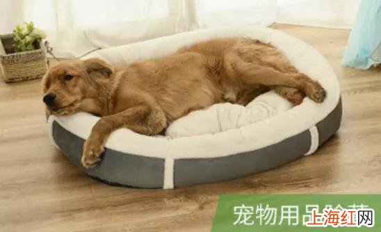 洗衣液只能洗衣服 什么牌子的洗衣液除菌效果好