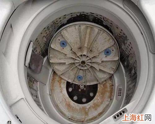 洗衣液只能洗衣服 什么牌子的洗衣液除菌效果好