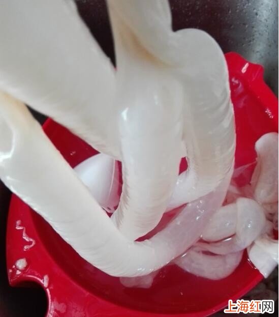 自制肠衣的做法是什么