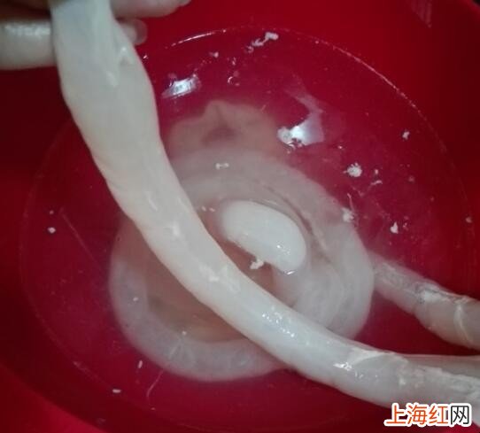 自制肠衣的做法是什么