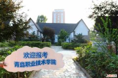 青岛职业技术学院计算机属于那个学校