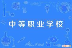 中等职业学校是大学吗