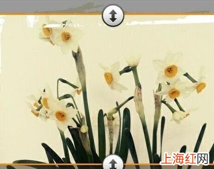 华为怎么自定义键盘皮肤