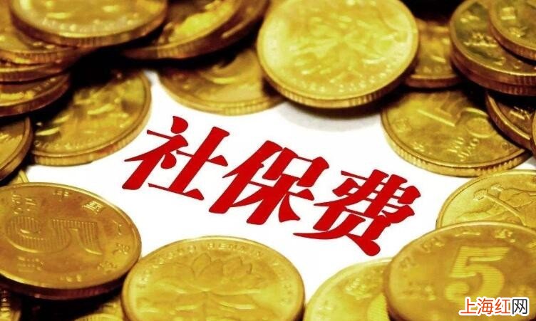 怎样查自己的社保缴费情况