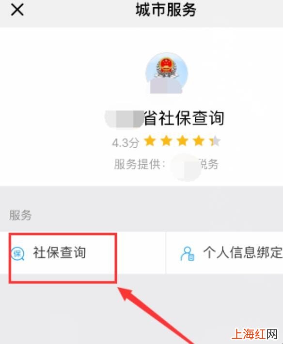 怎么查询社保缴费记录