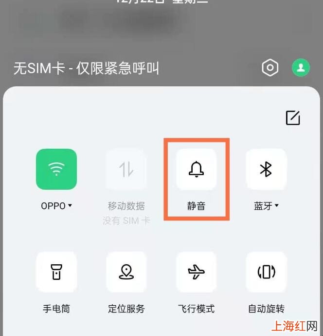 opporeno5怎么设置静音