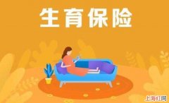 异地生育保险怎么报销