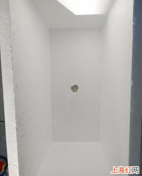 怎么用泡沫盒种菜
