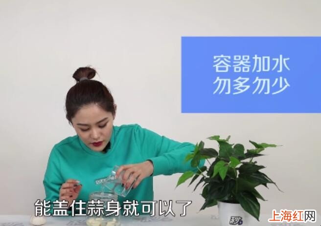 水种大蒜的种法是什么