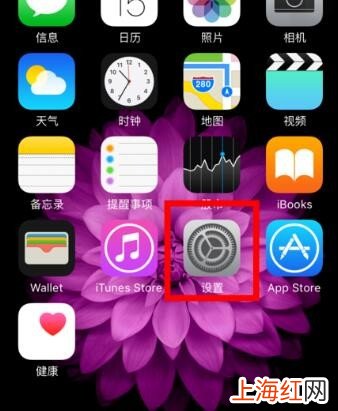 iphone6无线局域网打不开怎么办