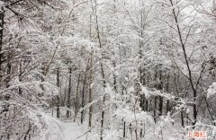 “瑞雪兆丰年”是什么意思