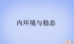 内环境的作用是什么