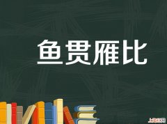 鱼贯雁比是什么意思