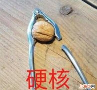 硬核是什么梗