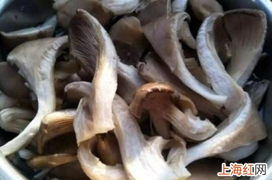 炒平菇的做法是什么