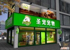 开宠物店能赚钱吗