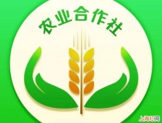 农业合作社怎样成立