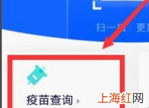 怎么查询疫苗是哪个厂家