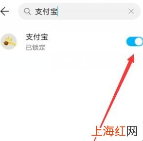 支付宝应用加密怎么解除