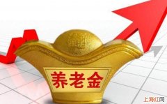 退休工资和养老金的区别是什么