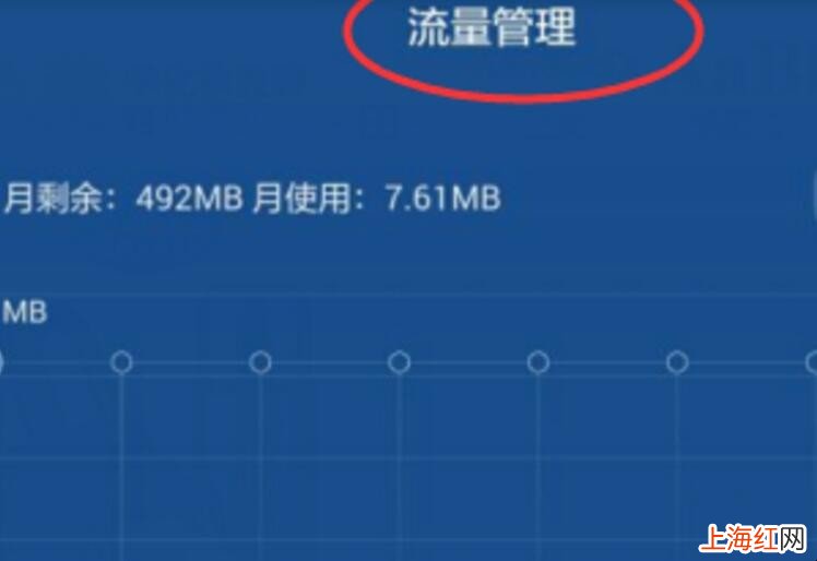 荣耀怎么看用了多少流量