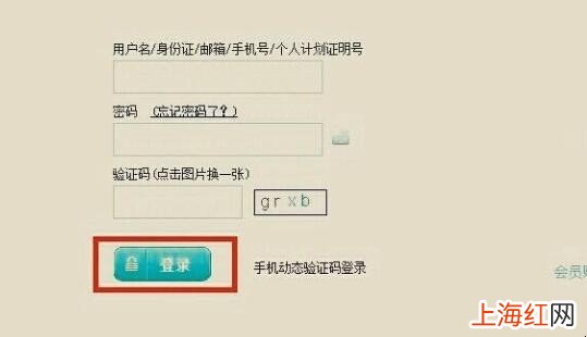 人寿车险如何查询