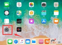 怎么查看ipad型号