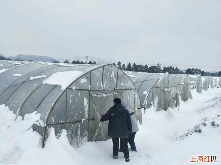 养殖遇到雪灾该怎么办